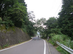 ヤビツ峠から車道を下る