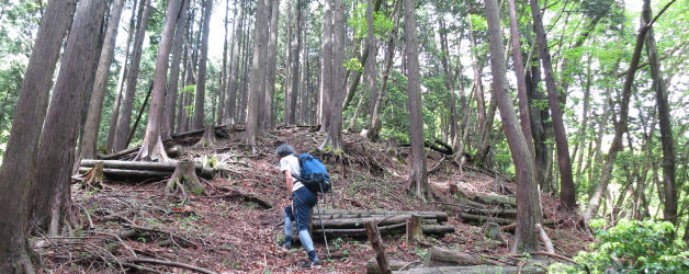 寿尾根を登る