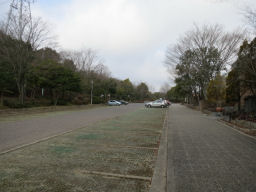 植物園の駐車場