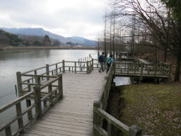 池の遊歩道を歩く