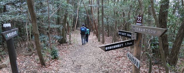 弥勒山への道