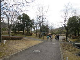 植物園の中を歩く