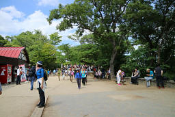 人だかりの高尾山頂