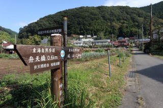 今回のコースは東海自然歩道