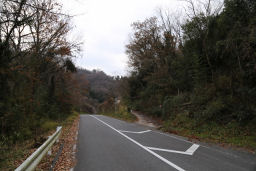 トンネルに向かって進む