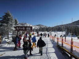 山頂駅の坪庭