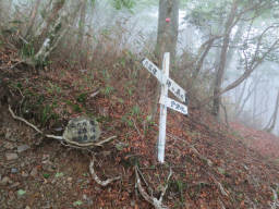 下の登山口からの道と合流