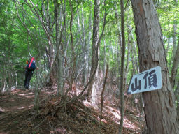 山頂に向かう