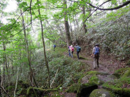 登山道は登りが少ない