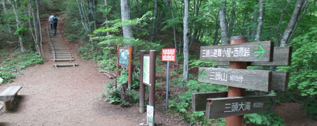 良く整備された登山道