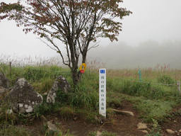 湯の沢峠のお花畑