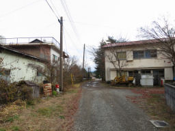 建物を抜けると精進湖