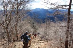 来た道を下山