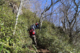 山頂へ向かう